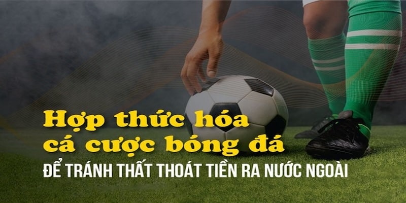 3 loại dữ liệu mà nhà cái thường xuyên cung cấp